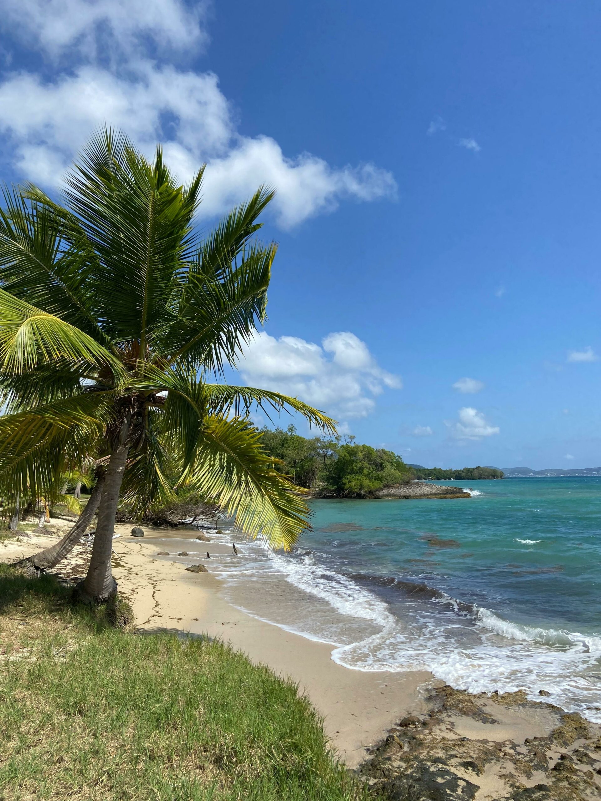 pexels-tom-fournier-208942721-20342203